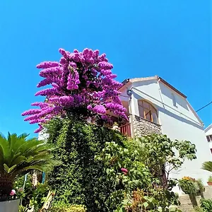apartman-nada-sali.hotelinzadar.com/
