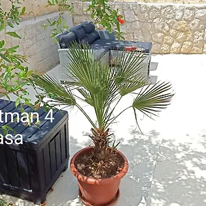 apartmani-zeljka.primorje-gorskikotar.com/